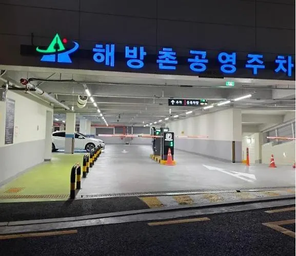 New Open Sale Haebangchon Itaewon Myeongdong Hongdae Insadong Gyeongbokgung Palace * 首爾
